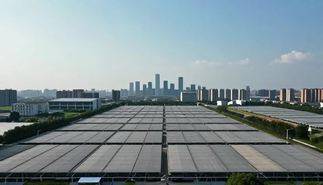 项目进度管理中技术支持的适用条件与选择依据
